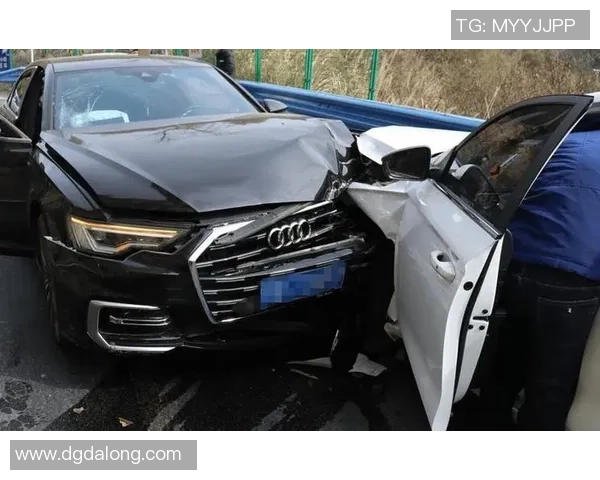 李芳独家分享篮球心得与技巧助你提升球技的全面指南